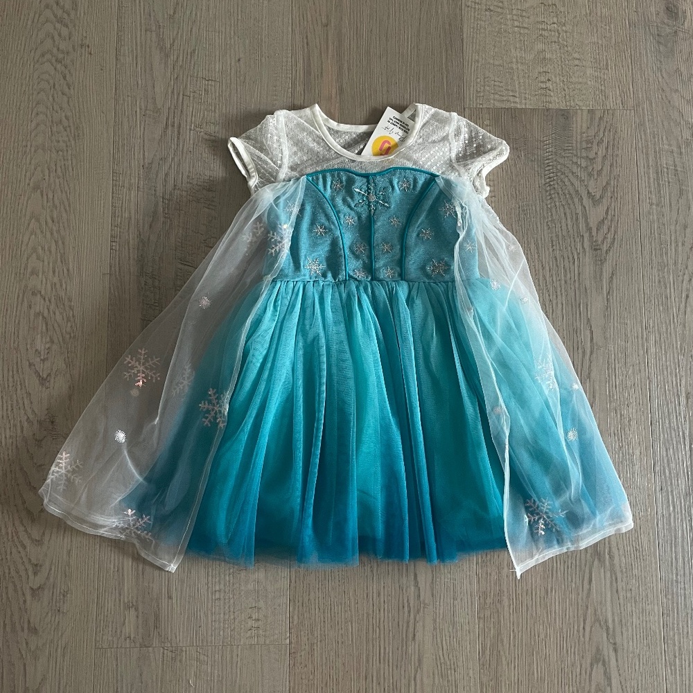 Taylor Joelle Elsa inspired dress